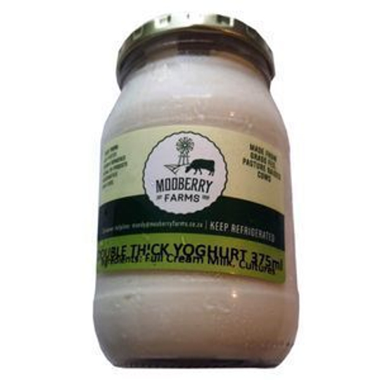 Glass Greek Yoghurt (375ml)