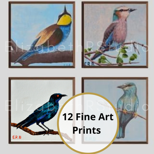 12 Small Fine Art Prints of Bird Paintings