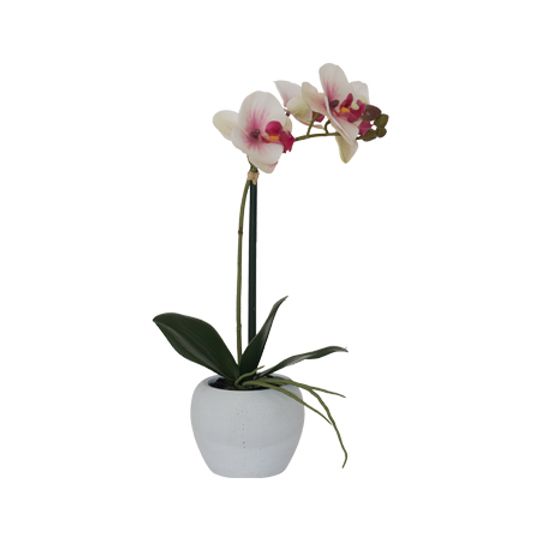 Real Touch Artificial Pink/White Orchid in White Pot (51cm)