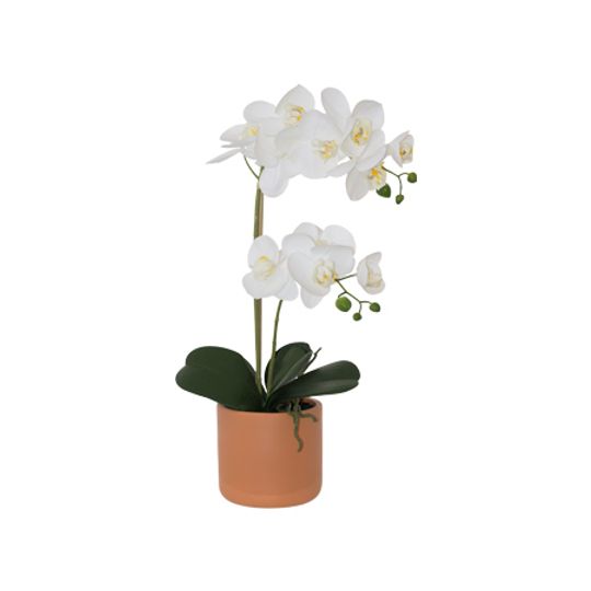 Real Touch Artificial White Orchid in Terracotta Pot
