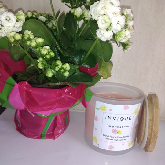 Nova frosted Candle