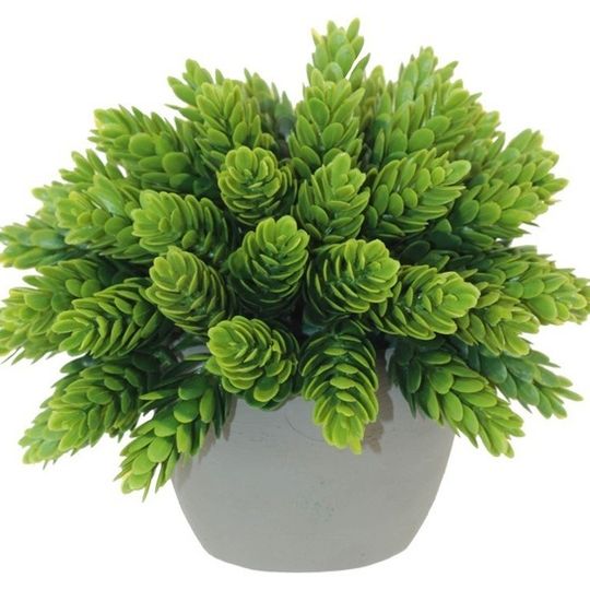 Mini Artificial Pine Bush Plant in Matte Grey Pot