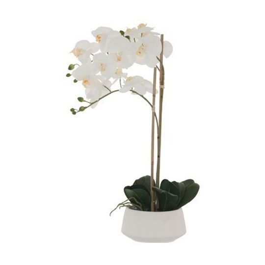 Real Touch Artificial White Orchid in White Pot (Multiple stems)