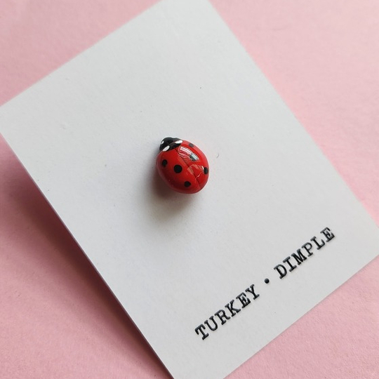 Ladybird Pin