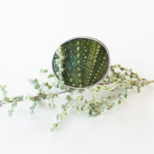 Green Large Oval Sea Urchin Rings