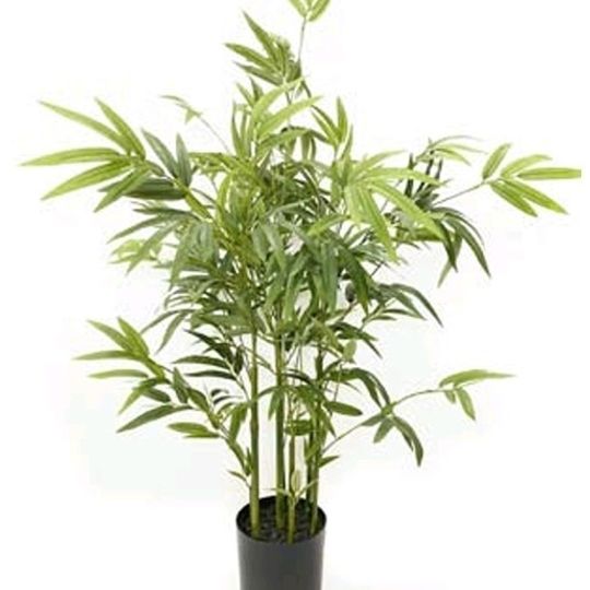 Medium Real Touch Artificial Bamboo Tree in Pot