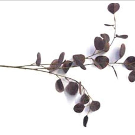 Artificial Eucalyptus Leaves - Burgandy