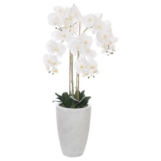 Large Real Touch Artificial White Orchid in White Cement Pot