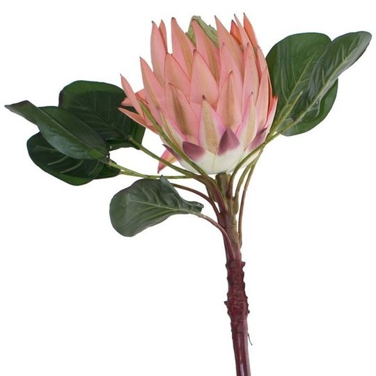 Artificial King Protea Single Stem- Light Pink