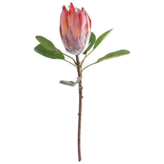Artificial Protea Flower Single Stem - Dark Peach