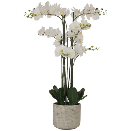 Large Real Touch Artificial White Orchid in Cement Pot