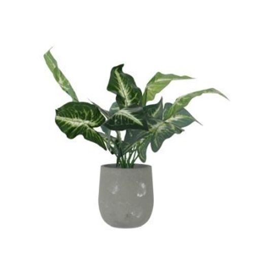 Artificial Evergreen Plant in Grey Pot