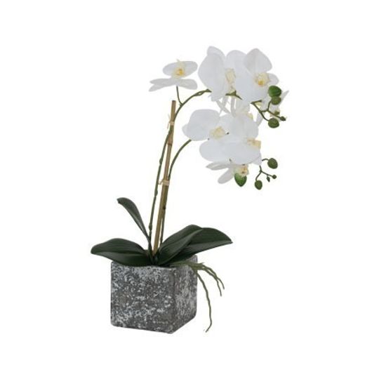 Real Touch Artificial White Orchid in Square Grey Pot