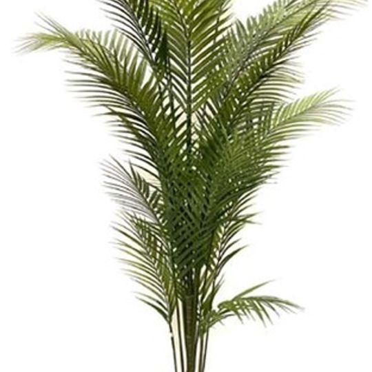 Tall Artificial Palm Tree in Pot 183cm
