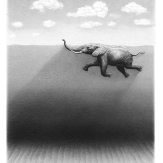 Elephant "Crossing" Art Print