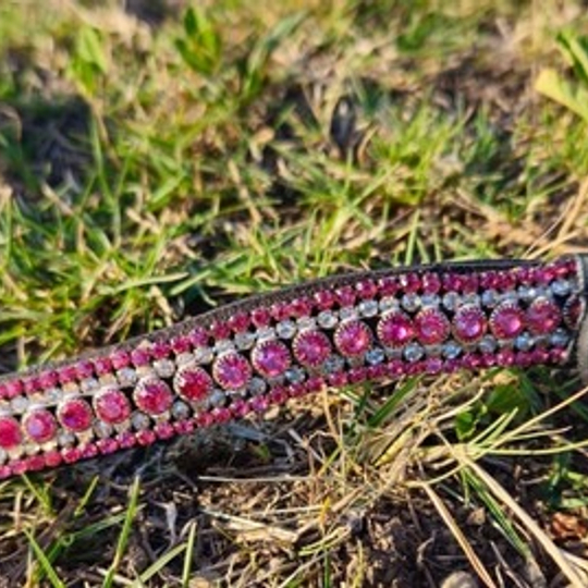 Diamante Browbands - Pink