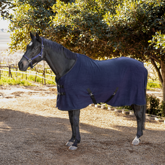 Fleece Rug *145cm*