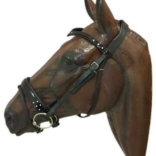 Lacquered "V" Bridle