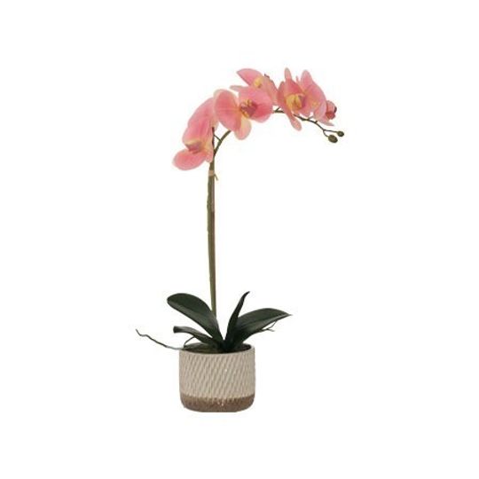 Real Touch Artificial Pink Orchid in Cream Pot