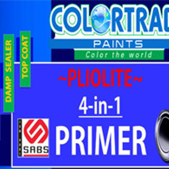 4 in 1 Plaster Primer