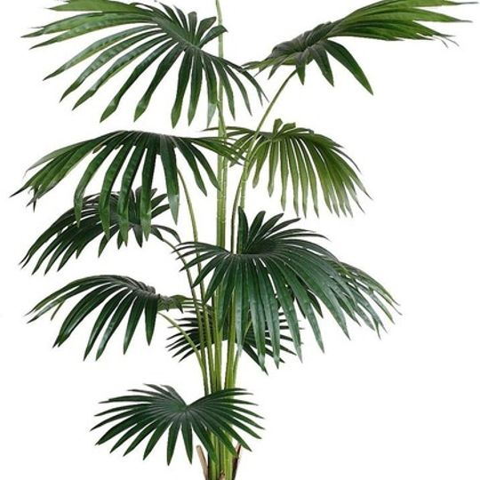 Artificial Fan Palm Leaf Tree