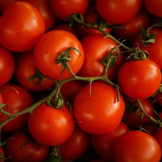 Tomato +- 1Kg Conventional