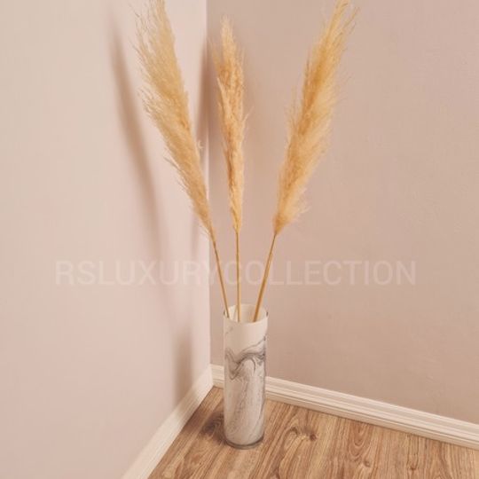 Real Dried Pampas Grass Single Stem - Light Beige