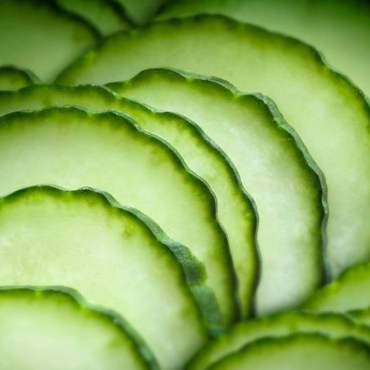 English Cucumber Hydroponic