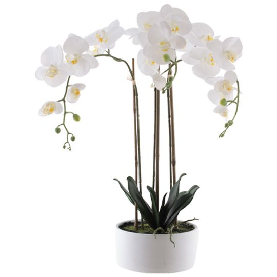 Real Touch Artificial White Orchid in Flat Bowl Pot