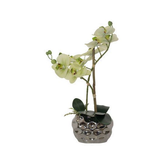 Real Touch Artificial Green Orchid in Silver Pot