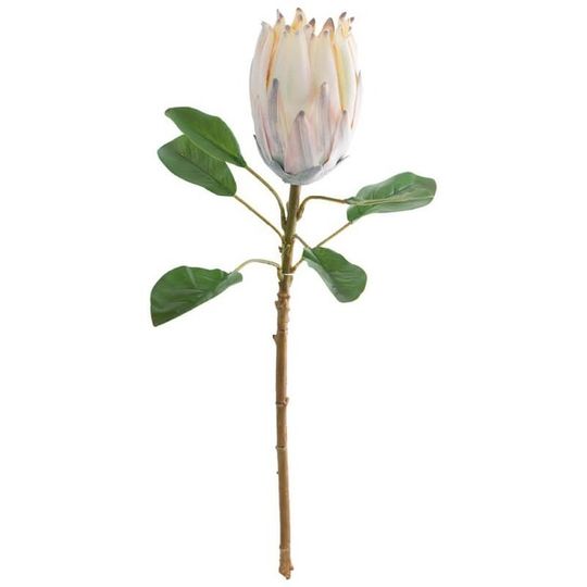 Artificial Protea Flower Single Stem - Light Peach