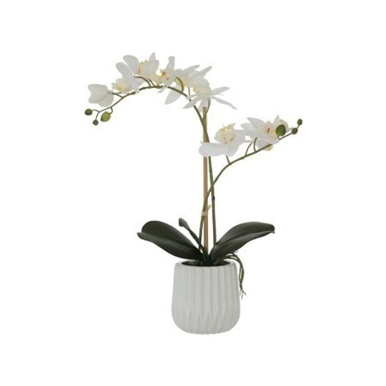 Real Touch Artificial White Orchid in Ribbed Pot