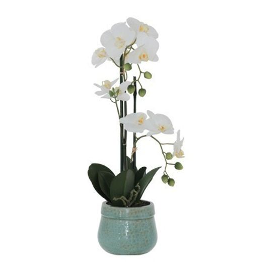 Real Touch Artificial White Orchid in Teal Pot