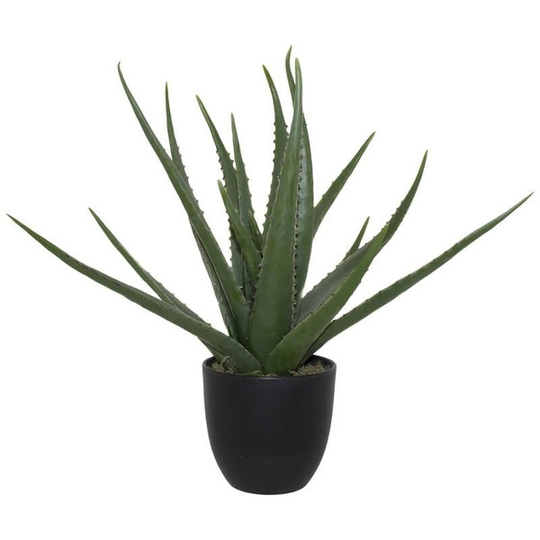 Artificial Aloe Plant in Black Pot