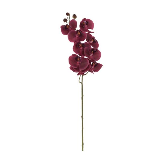 REAL TOUCH ARTIFICIAL ORCHID SINGLE STEM 48CM