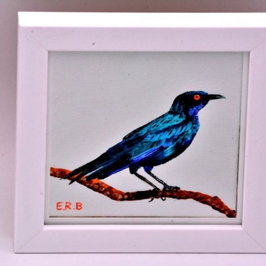 Small Framed Fine Art Bird Print