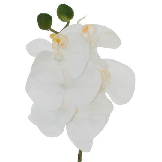 Real Touch Artificial White Orchid Single stem