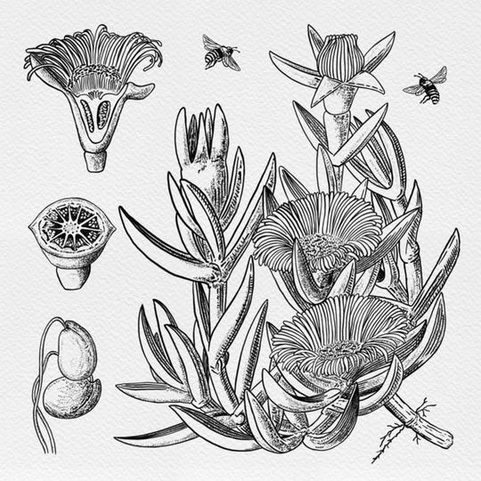 Ghôkum Print