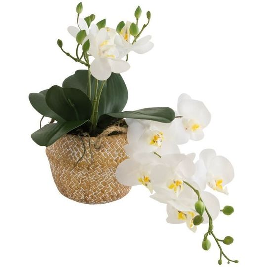 Real Touch Hanging Orchid in Basket Design Pot