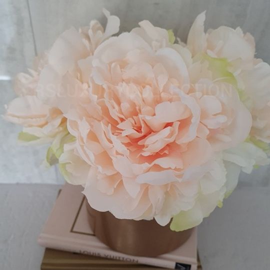 Artificial Large Opened Peony Single Stem - Champagne
