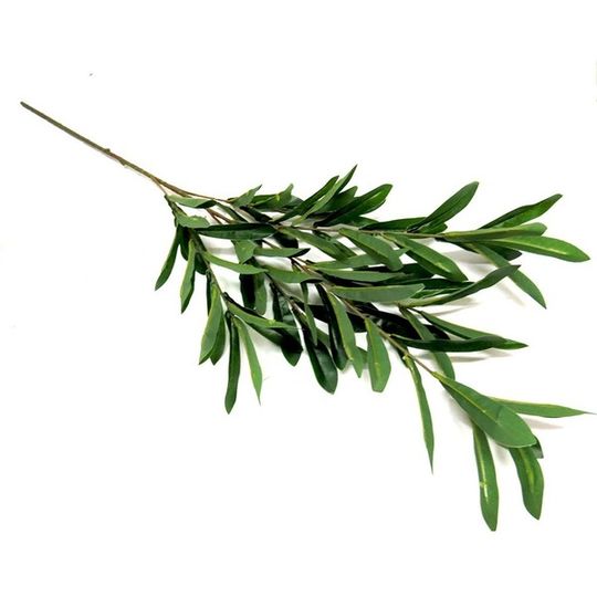 Tall High Quality Artificial Olive Leaves Single Stem