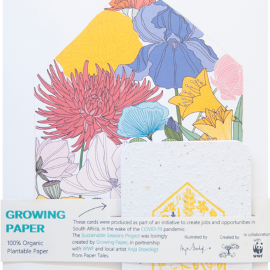 1 x A4 Frameable Print & 5 Growing Paper Cards