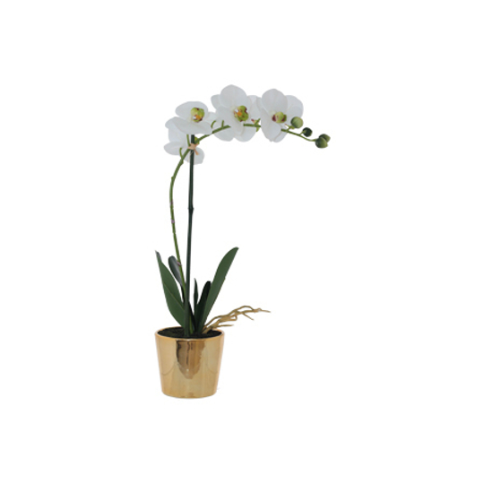Real Touch Artificial Orchid in Metallic Gold Pot 51cm