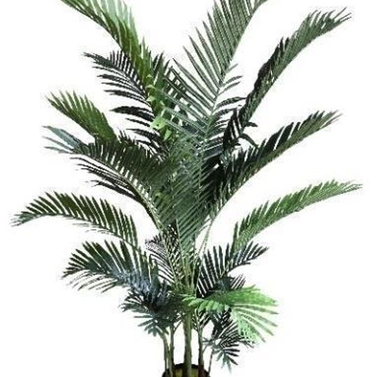 ARTIFICIAL KENTIA PALM TREE - 3 SIZES AVAILABLE