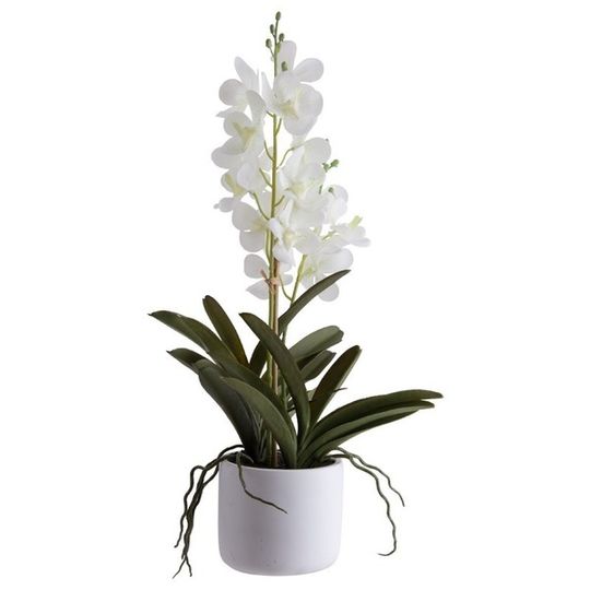 Real Touch Artificial Ascocenda Orchid in White Pot