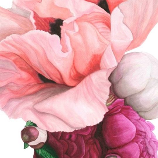 Poppies and Peonies