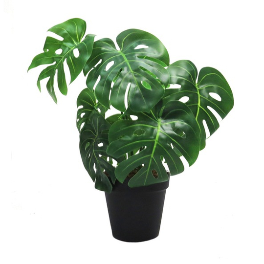 Artificial Monsteria Plant in Pot