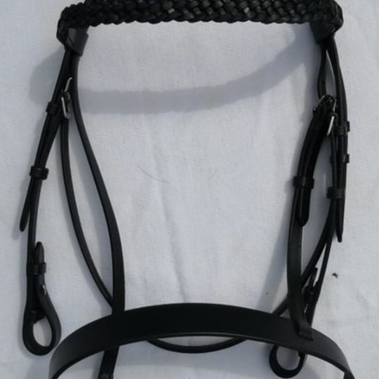 Showing Bridle