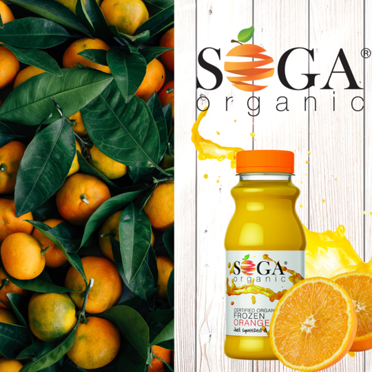 SOGA  Organic Frozen Orange Juice (250ml)