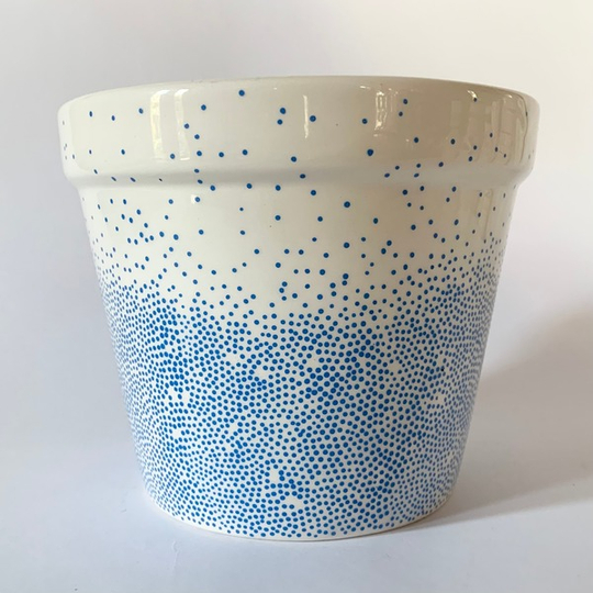 Plant Pots